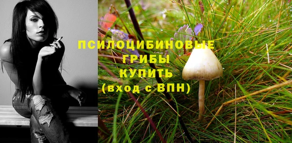 наркотики Богданович