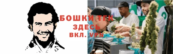 PSILOCYBIN Богородск