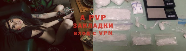 ПСИЛОЦИБИНОВЫЕ ГРИБЫ Богородицк