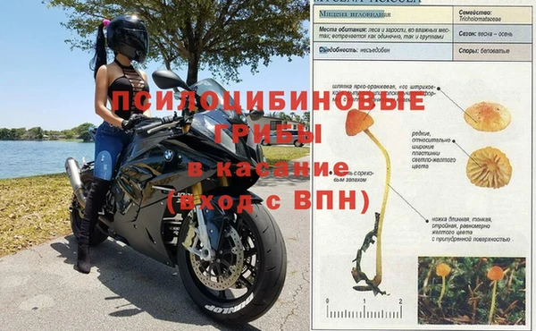 ПСИЛОЦИБИНОВЫЕ ГРИБЫ Богородицк
