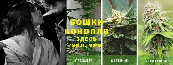 наркотики Богданович